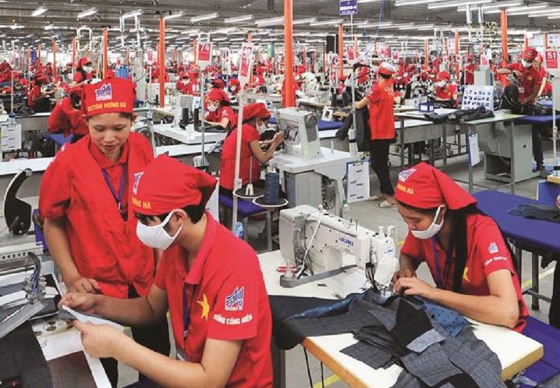 Kinh tế ngành may mặc 2025 -2026